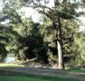 Rustic Caravan Park - Accommodation Newcastle