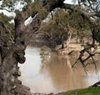 Valley View Cottage Hunter Valley - Accommodation Newcastle