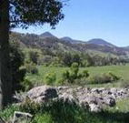 Woolshed Hill Estate - Accommodation Newcastle