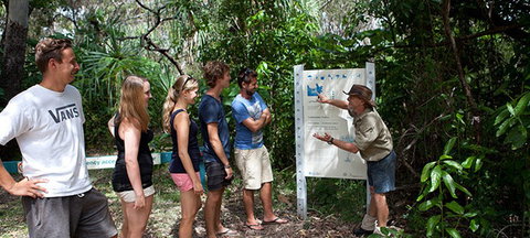 Magnetic Island YHA - Accommodation Newcastle 8
