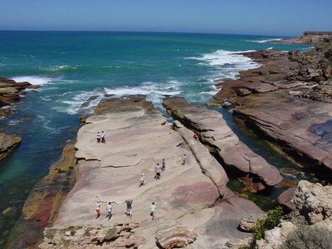 Coodlie Park - Port Kenny - Venus Bay - Accommodation Newcastle 2