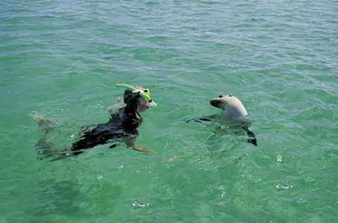 Coodlie Park - Port Kenny - Venus Bay - Accommodation Newcastle 3