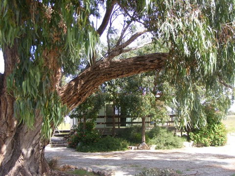 Coodlie Park - Port Kenny - Venus Bay - Accommodation Newcastle 4