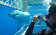 Port Lincoln YHA - thumb 7