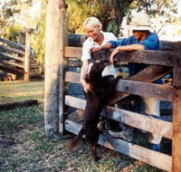 Minmore Farmstay Bed and Breakfast - Accommodation Newcastle