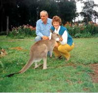 Bimbimbi and Little Hollow Farm Stay - Accommodation Newcastle
