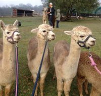Bunyip Springs Farmstay - Accommodation Newcastle
