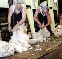 The Woolshed at Jondaryan Caravan and Camping - Accommodation Newcastle