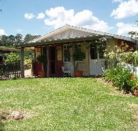Bunnyconnellen Olive Grove and Vineyard - Accommodation Newcastle
