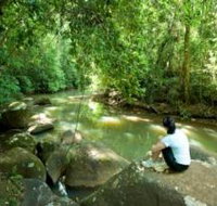 The Canopy Rainforest Tree Houses and Wildlife Sanctuary - Accommodation Newcastle