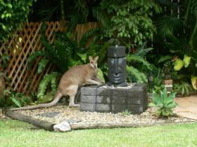 Bluewater Bed And Breakfast Cairns - Accommodation Newcastle 3