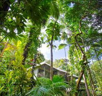 Daintree Eco Lodge and Spa - Accommodation Newcastle