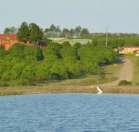 Mango Paradise Bed and Barra - Accommodation Newcastle