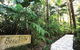 Songbirds Rainforest Retreat - thumb 0
