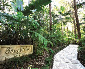 Songbirds Rainforest Retreat - Accommodation Newcastle 0
