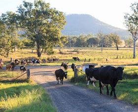 Kerry QLD Accommodation Newcastle