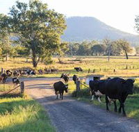 Tommerups Dairy Farmstay