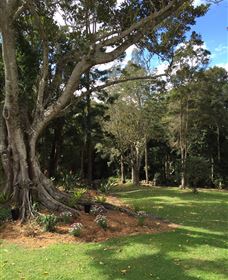 Lower Beechmont QLD Accommodation Newcastle