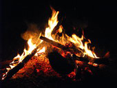Corroboree Park Tavern - Accommodation Newcastle 13