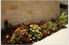 A Country View Motel - Accommodation Newcastle 6