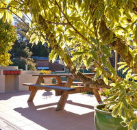 Best Western Alpine Motor Inn