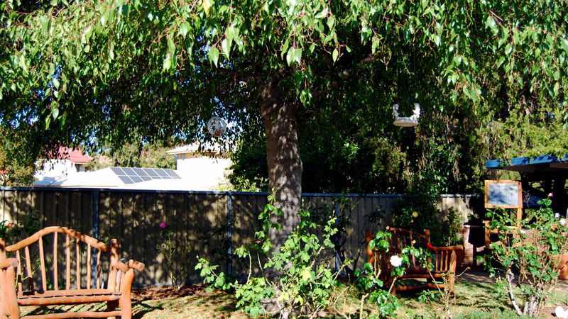 Wollar ACT Accommodation Newcastle