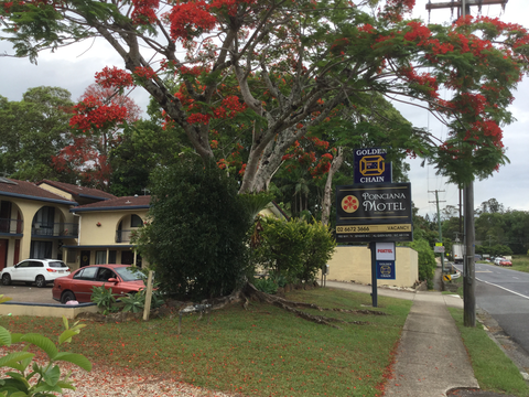 Poinciana Motel - Accommodation Newcastle 4