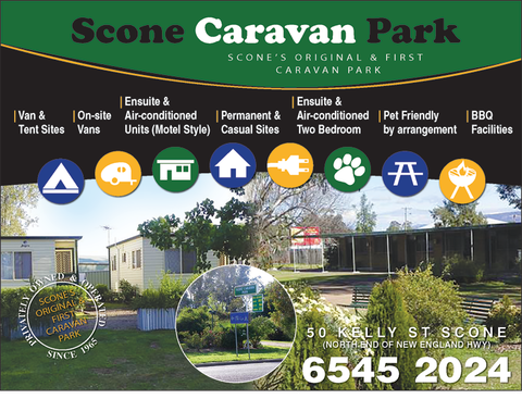 Scone Caravan Park - Accommodation Newcastle 5