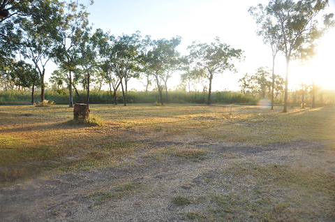 The Bark Hut Inn - Accommodation Newcastle 2