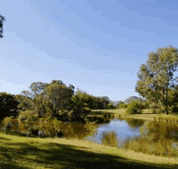 BIG4 Peppermint Caravan Park - Accommodation Newcastle