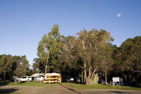 Molloy Caravan Park - Accommodation Newcastle 1