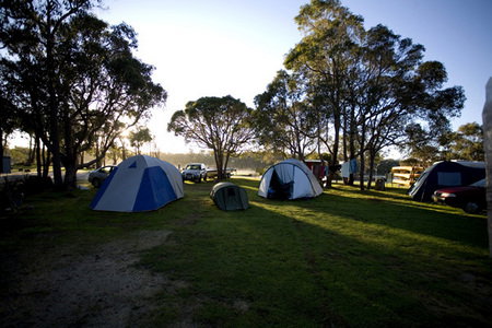 Molloy Caravan Park - Accommodation Newcastle 2