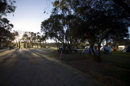 Molloy Caravan Park - Accommodation Newcastle 3