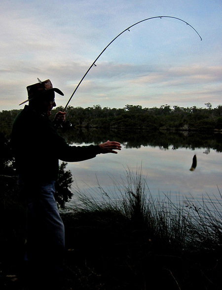 Molloy Caravan Park - Accommodation Newcastle 5