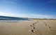 Kalbarri Palm Resort - thumb 4