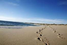Kalbarri Palm Resort - Accommodation Newcastle 4