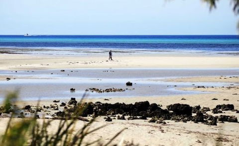 Halcyon Bay - Accommodation Newcastle 5