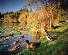 Country Club Tasmania - Accommodation Newcastle 5