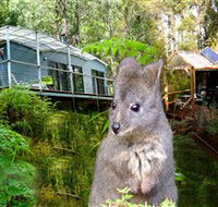 Huon Bush Retreats - Accommodation Newcastle