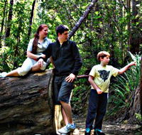 Tahune Airwalk Lodge - Accommodation Newcastle