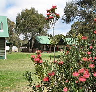 Derwent Bridge Chalets  Studios - Accommodation Newcastle