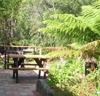 Blackwood Studio Accommodation - Cottage--