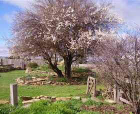 Lakeview Cottage - Accommodation Newcastle 3