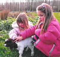 Huon Valley Caravan Park - Accommodation Newcastle