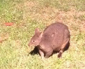 Huon Valley Bed And Breakfast - Accommodation Newcastle 3