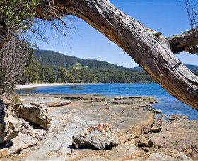 Bay Retreat Port Arthur - Accommodation Newcastle 5