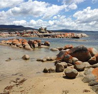 Lake Eckersley campground - Accommodation Newcastle