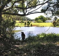 Newry Park Cottage - Accommodation Newcastle
