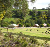 Tin Dragon Trail Cottages - Accommodation Newcastle