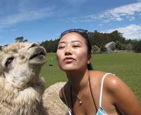 Tin Dragon Trail Cottages - Accommodation Newcastle 4